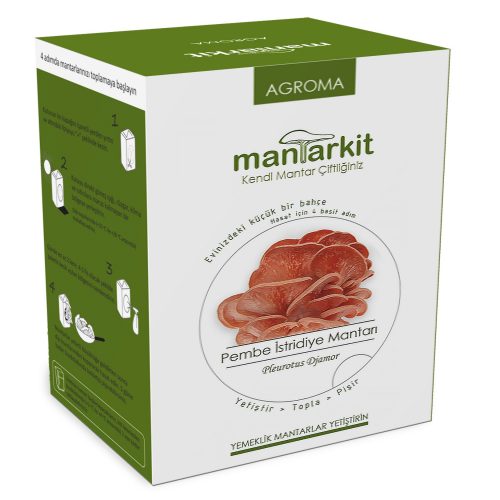 Hobi Kiti Pleurotus Djamor