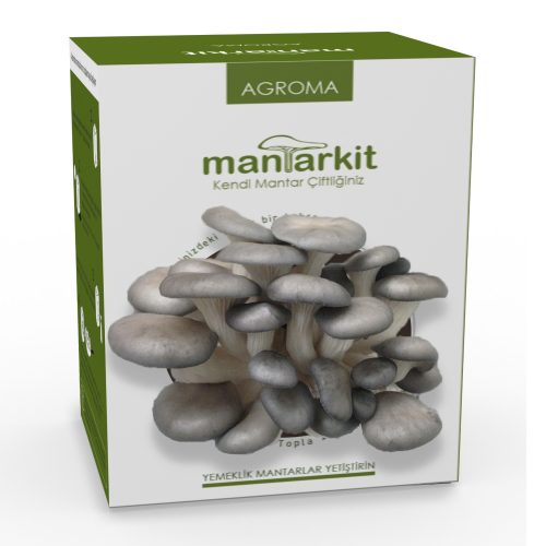 Hobi Kiti Pleurotus Ostreastus