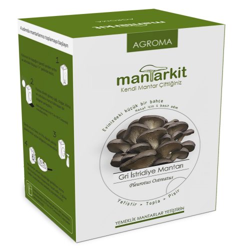 Hobi Kiti Pleurotus Ostreastus